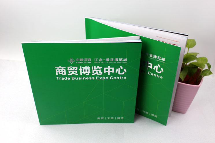 江永商貿博覽中心樓書畫冊